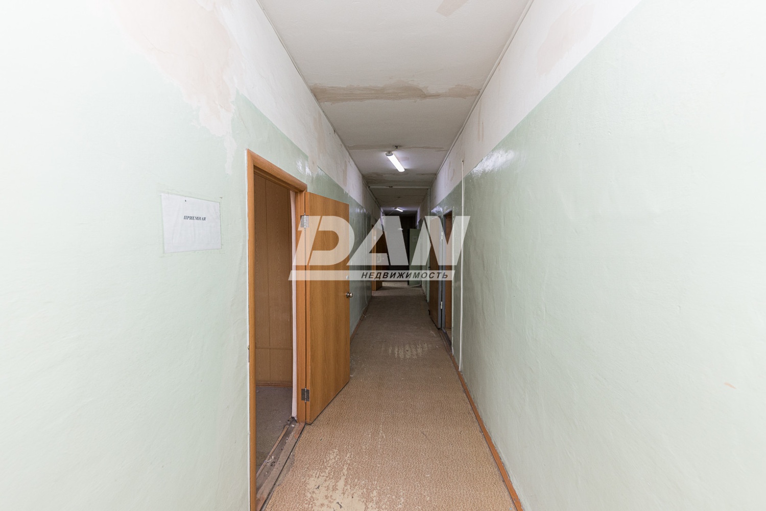 Торговая площадь 203 м²