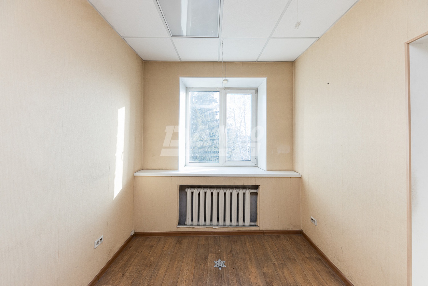 Офис 66,5 м²