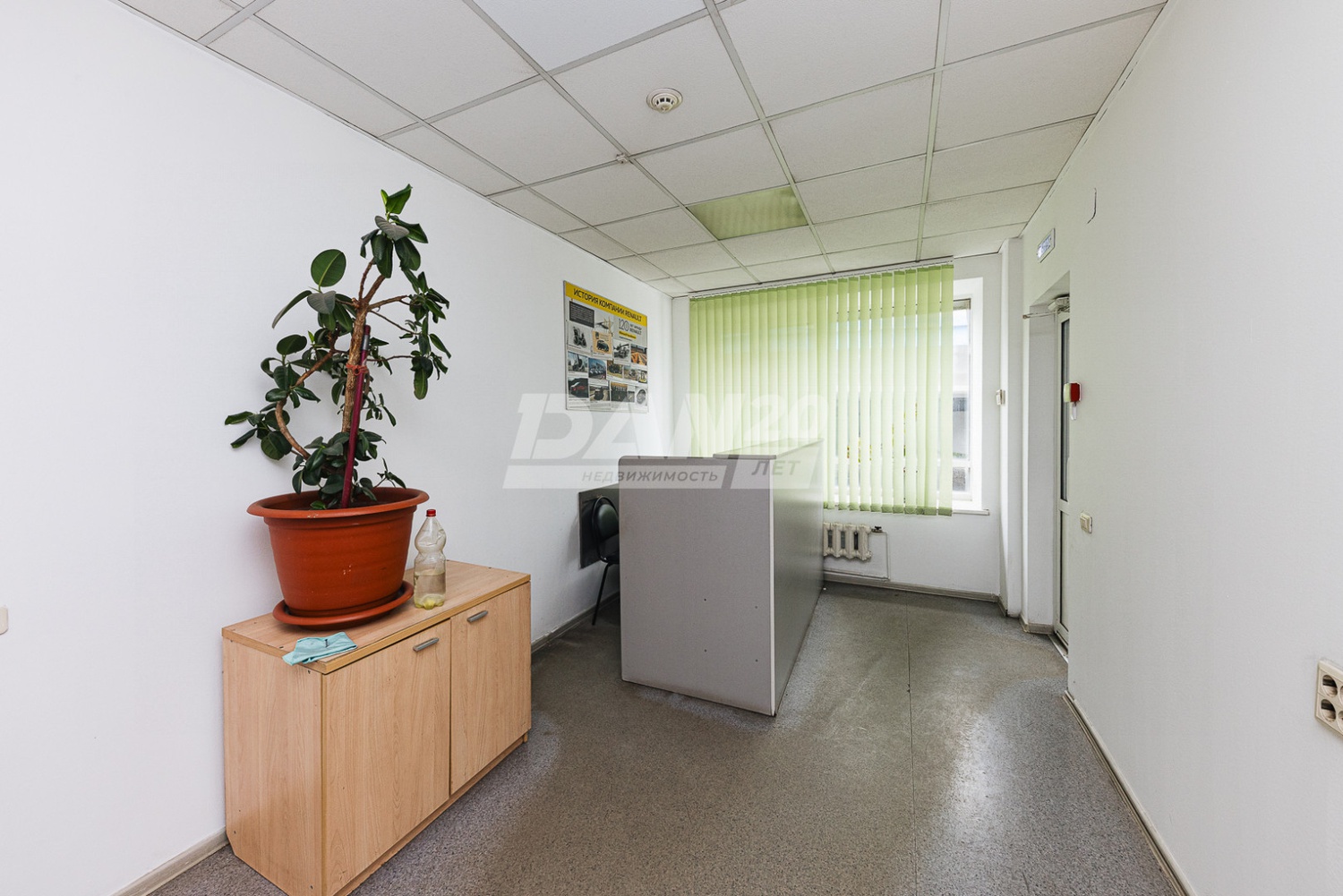 Торговая площадь 1625 м²