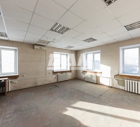 Офис, 263,6 м²