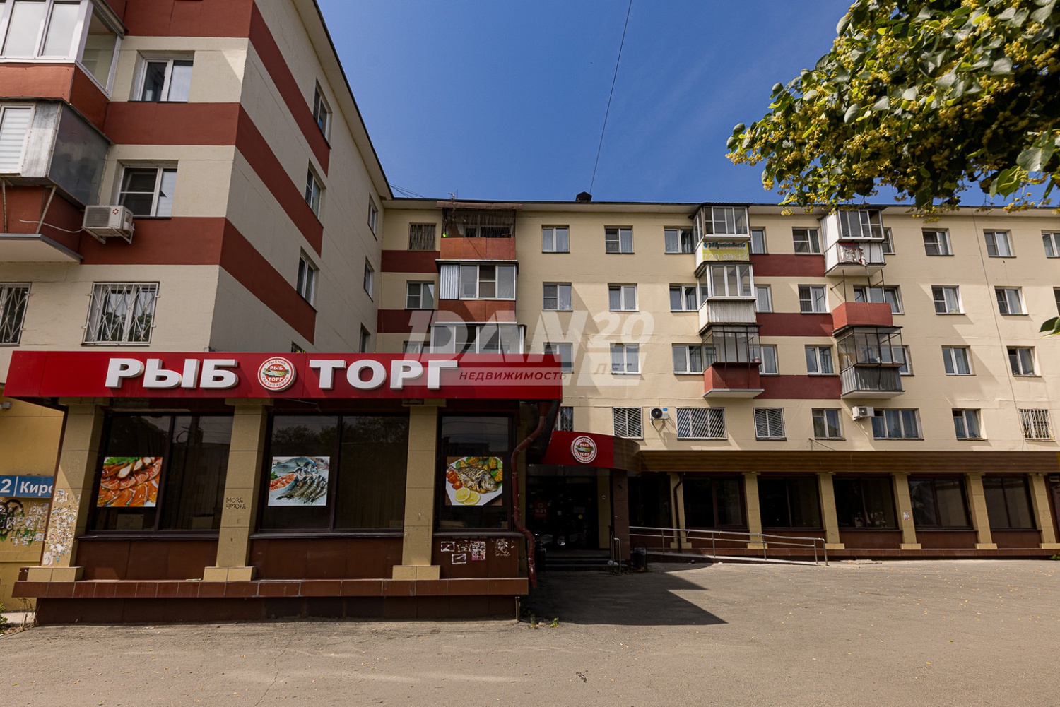 Торговое помещение 241 м²