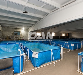 Производственное помещение, 413 м²