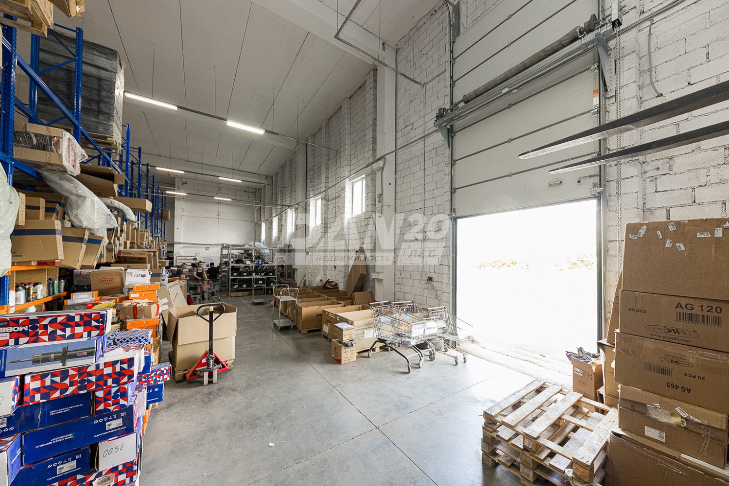 Торговая площадь 5000 м²