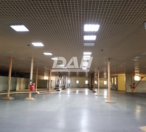 Торговое помещение, 980 м²