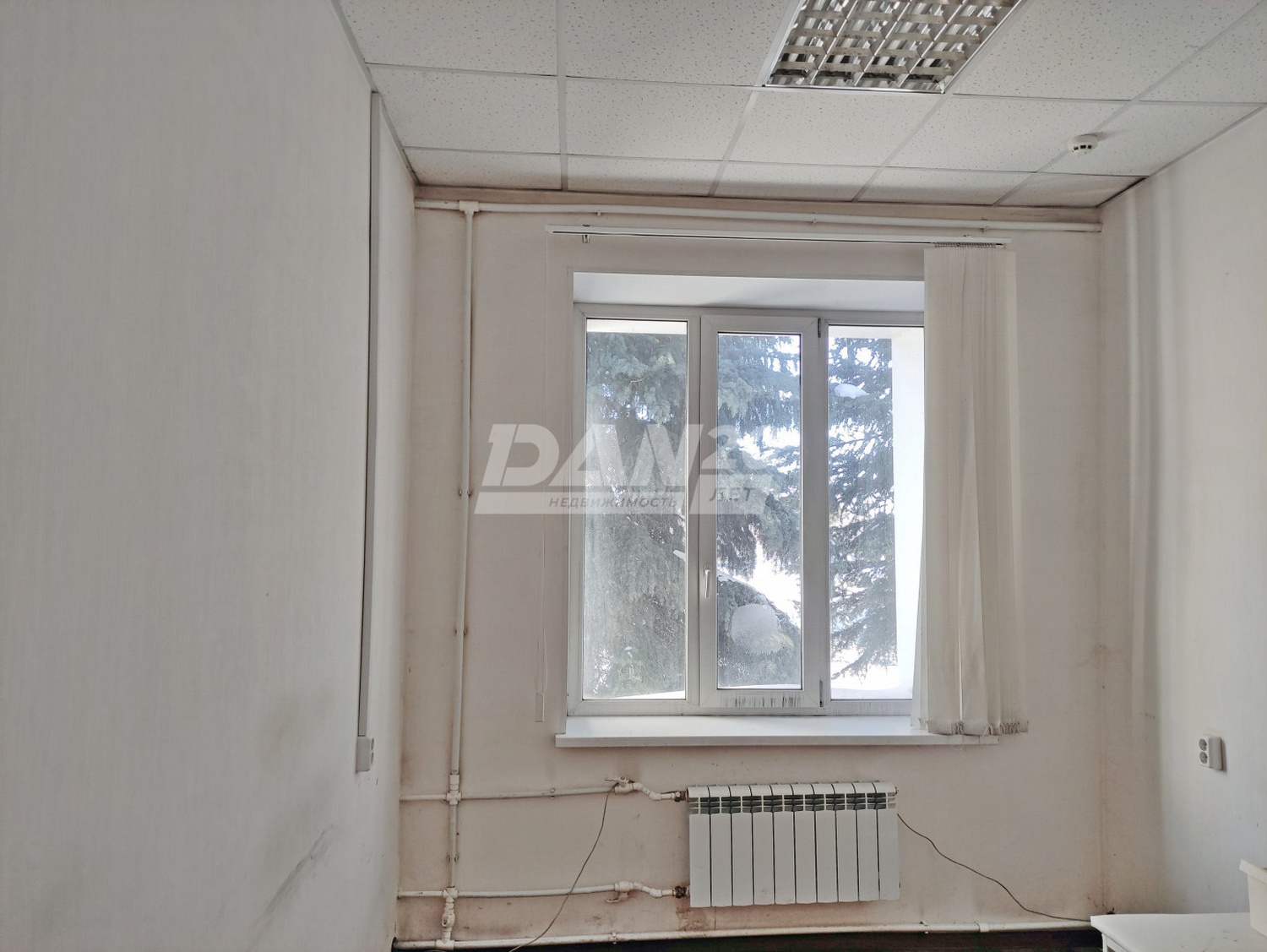 Офис 284 м²