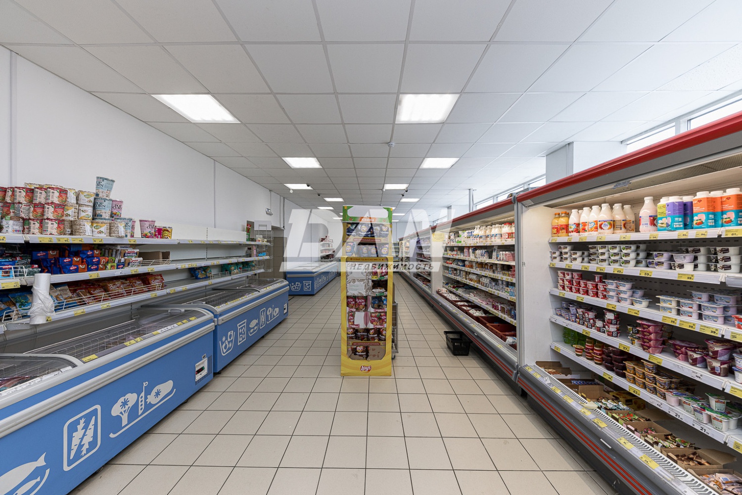 Помещение свободного назначения 291,5 м²