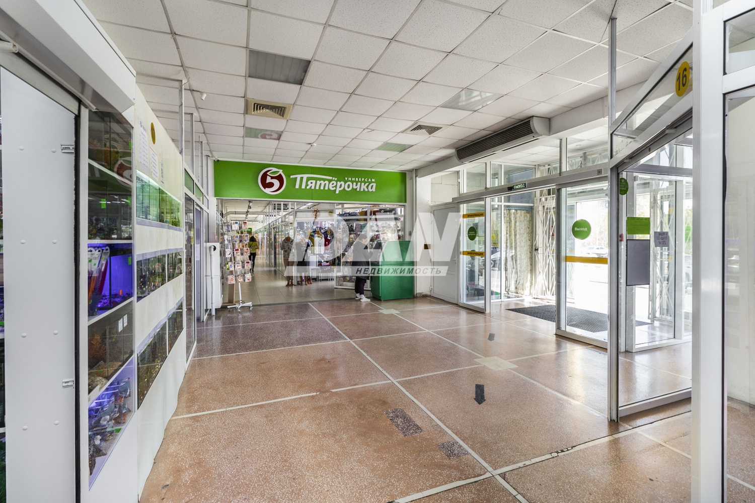 Торговая площадь 3431 м²