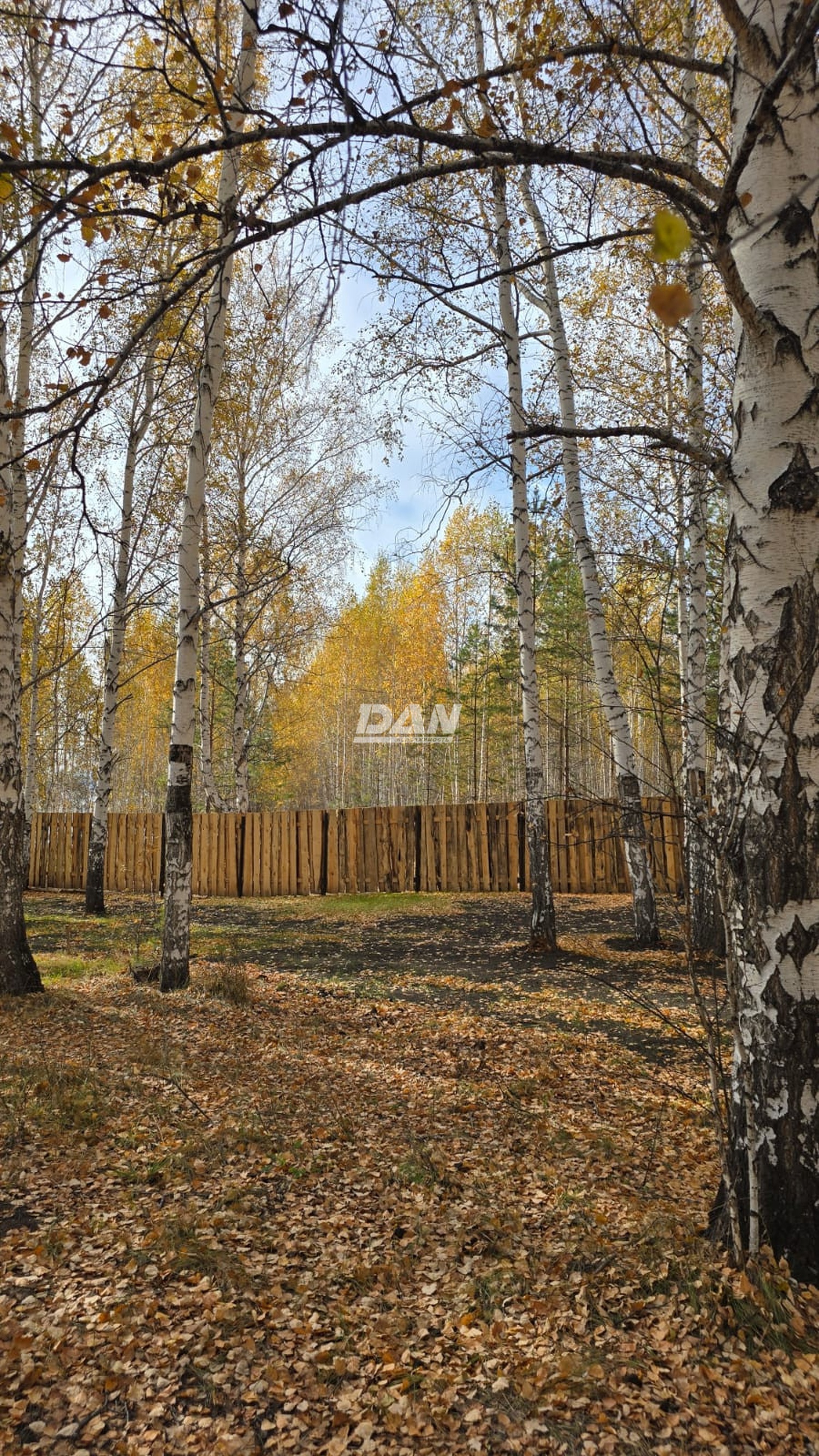 Помещение свободного назначения 941 м²