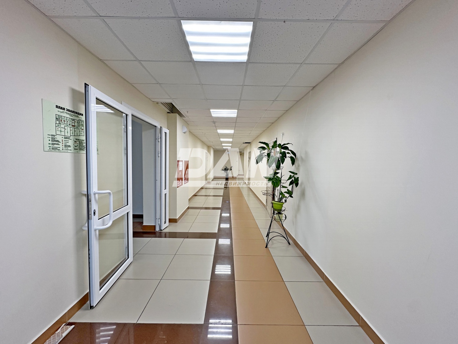 Офис 964,8 м²