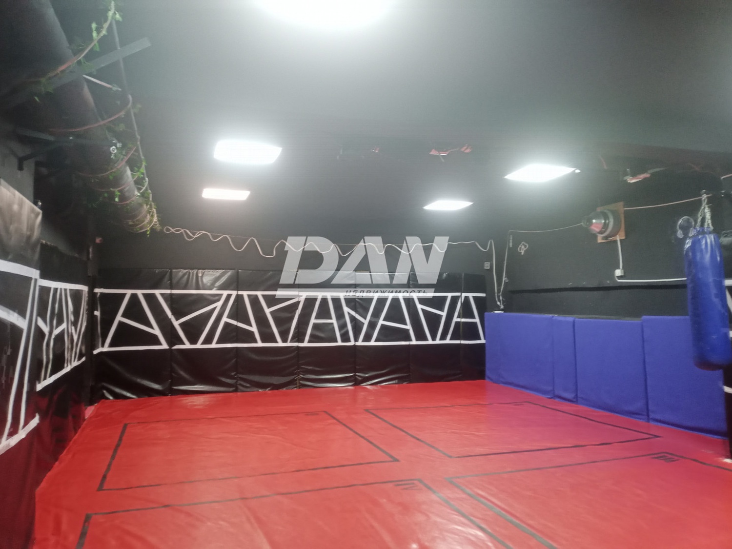 Помещение свободного назначения 255 м²