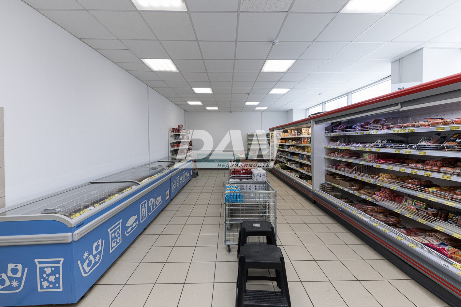 Помещение свободного назначения 291,5 м²