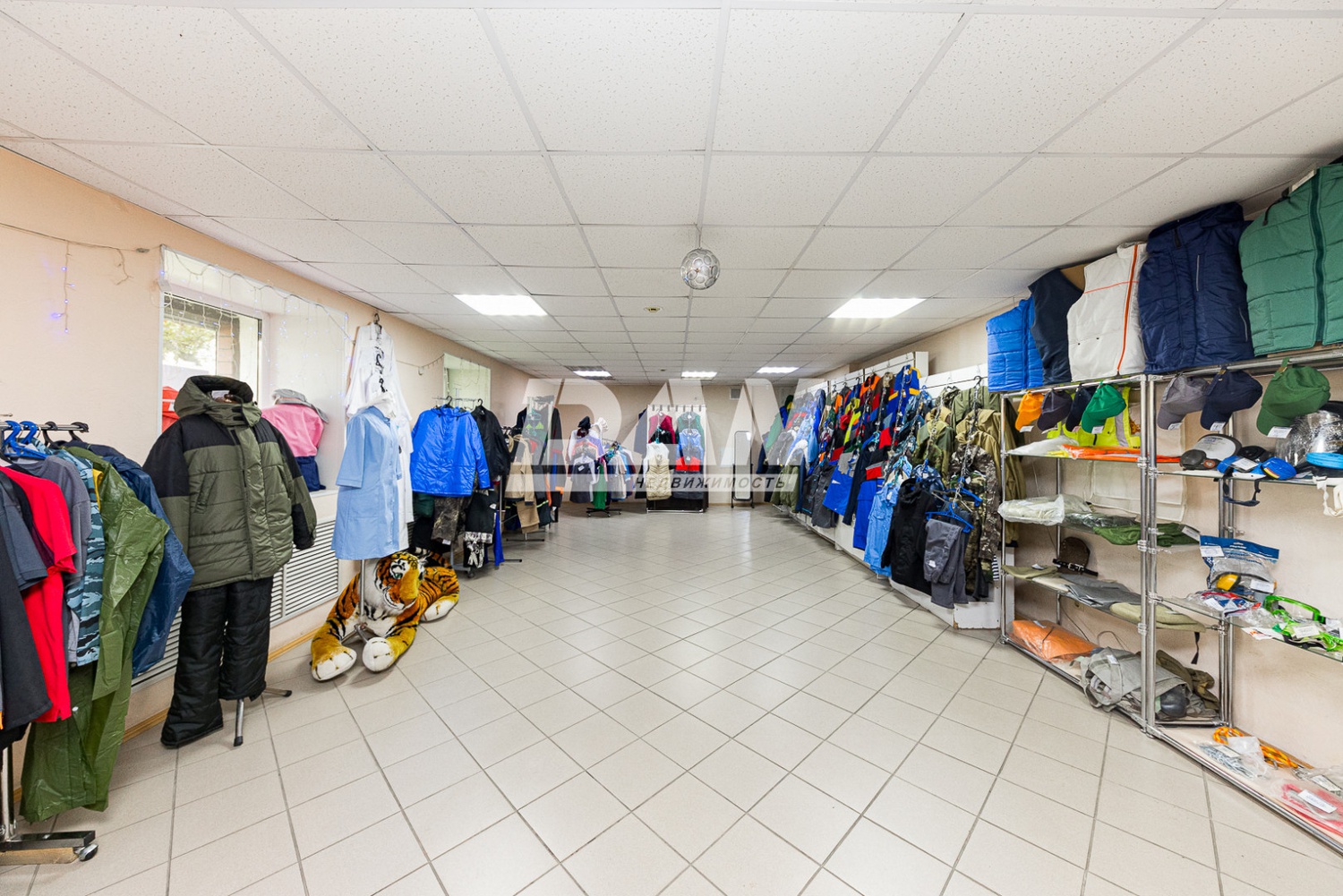 Помещение свободного назначения 245 м²