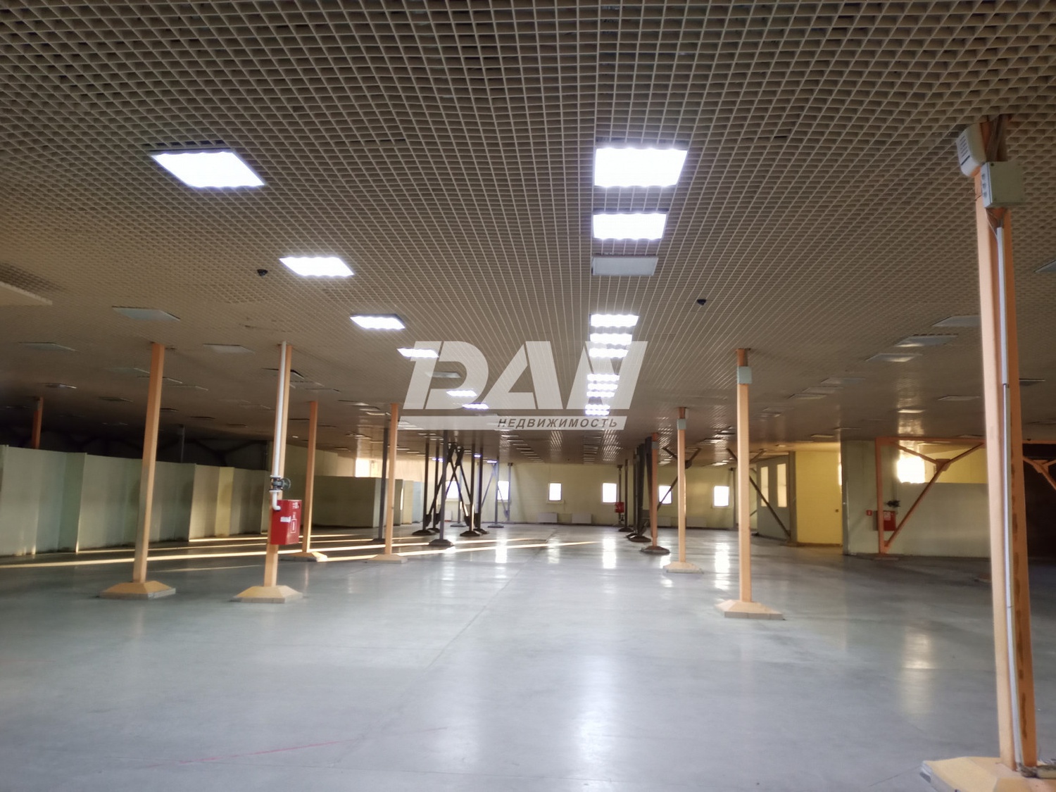 Торговое помещение 980 м²