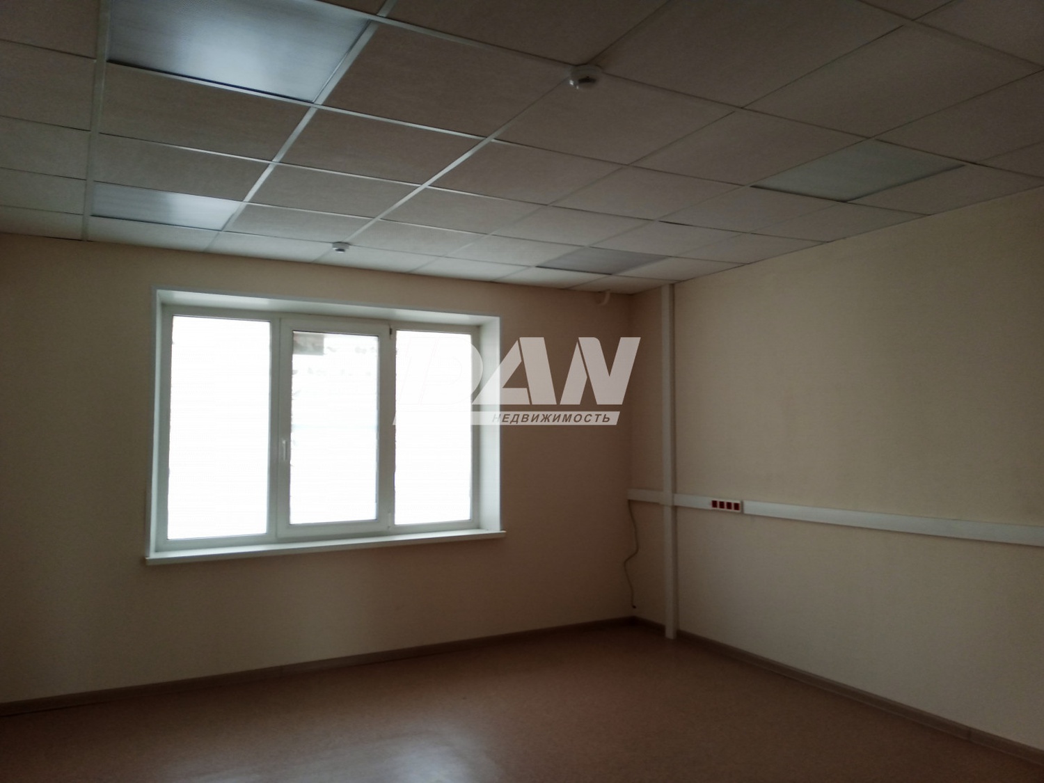 Помещение свободного назначения 125,5 м²