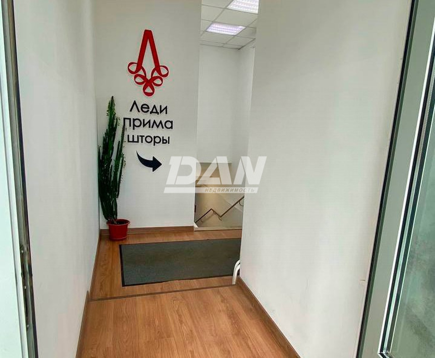 Помещение свободного назначения 243,9 м²
