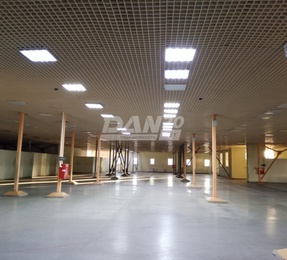 Торговое помещение, 980 м²