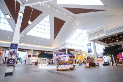 ТРЦ «Zеленопарк» в Зеленограде могут снести