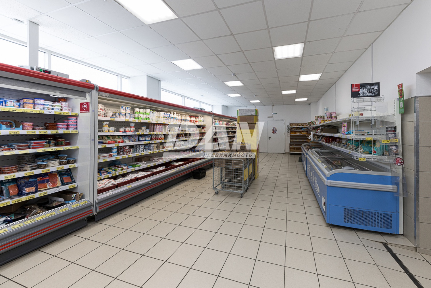 Помещение свободного назначения 291,5 м²