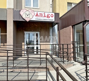 Помещение свободного назначения, 56 м²