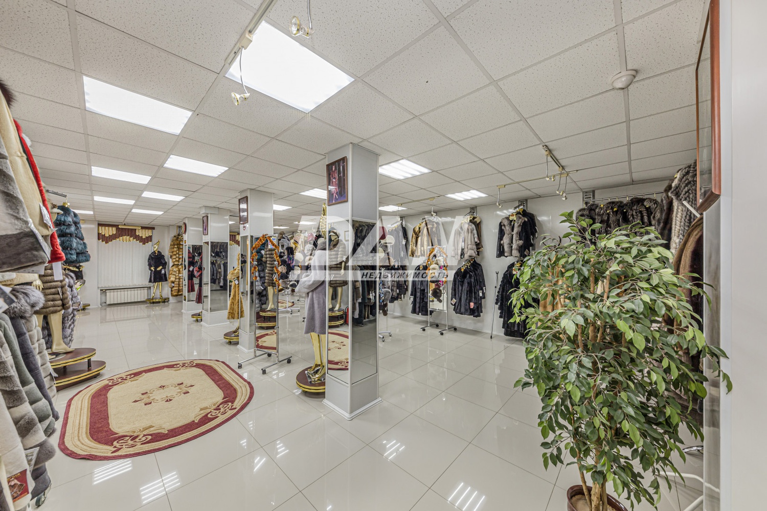 Торговая площадь 232 м²